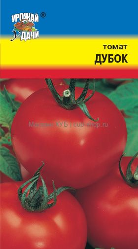 Томат Дубок Фото